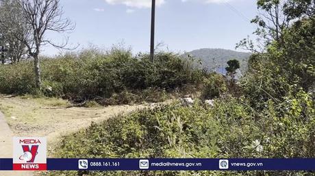 Cao tốc Liên Khương - Prenn bị đấu nối trái phép