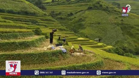 Việt Nam được quảng bá trên sóng truyền hình bằng tiếng Arab