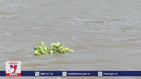 Sóc Trăng khẩn trương ứng phó với xâm nhập mặn