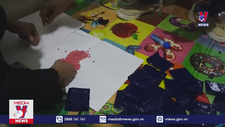 Quảng Bình bắt giữ vụ vận chuyển gần 6.300 viên ma tuý