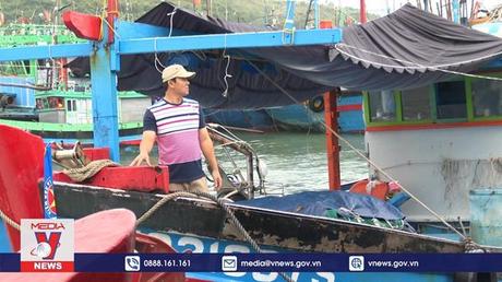 Khánh Hoà thiếu lao động đi biển