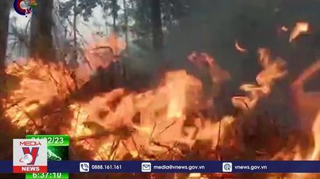 Gió mạnh cản trở nỗ lực kiểm soát cháy rừng tại Cuba