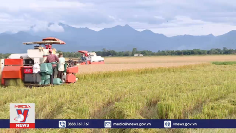 Thúc đẩy đổi mới sáng tạo trong nông nghiệp