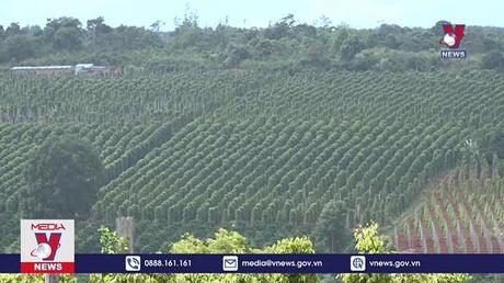 Bộ Công Thương lên kế hoạch hành động phát triển vùng Tây Nguyên