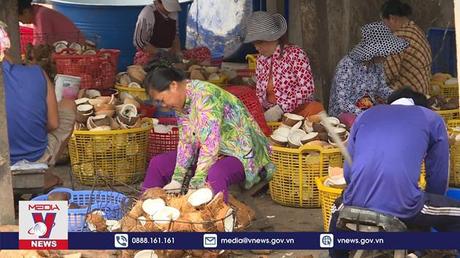 Ngành dừa dự báo đạt kim ngạch trên 1 tỷ USD