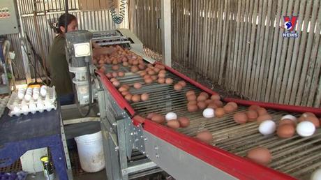 Đường dây nóng 389 ngày 22/02/2023