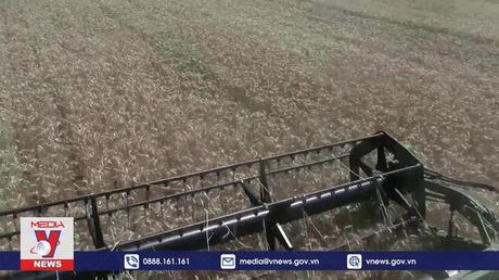 WTO đánh giá khả quan tình hình thương mại thế giới