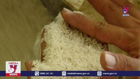 Xuất khẩu khoảng 7 triệu tấn gạo trong năm 2023