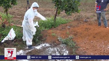 Bản tin thời sự 13h ngày 25/02/2023