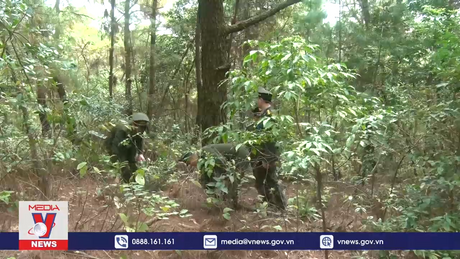 Tăng cường phòng chống cháy rừng xung quanh các di tích quốc gia đặc biệt