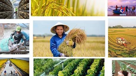 Học Bác mỗi ngày: Bác Hồ với nông nghiệp, nông dân, nông thôn