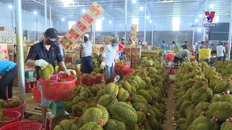 Bản tin tiếng Anh ngày 25/02/2023