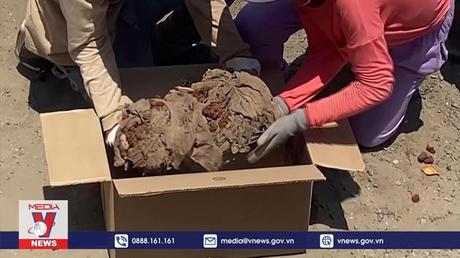 Phát hiện mộ cổ từ thời tiền Inca