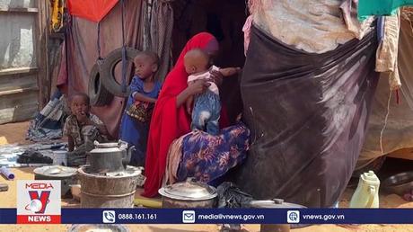 Hạn hán ảnh hưởng đến hàng triệu người tại Đông Phi