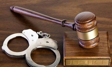 Bắc Giang: Bắt tạm giam 5 đối tượng sai phạm trong kinh doanh, xuất khẩu gỗ