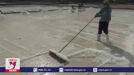 Diêm dân Ninh Thuận phấn khởi vì muối được mùa, được giá