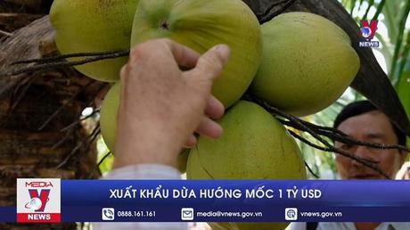 Xuất khẩu dừa hướng mốc 1 tỷ USD