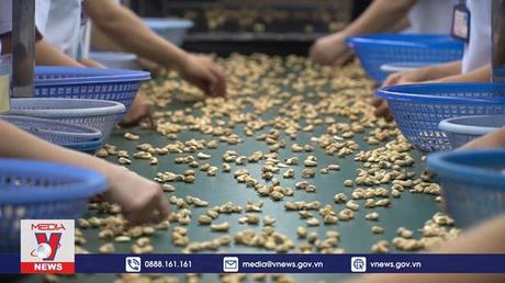 Xuất khẩu điều 2023 đứng trước nhiều khó khăn