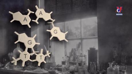 Thông điệp lịch sử: DNA - Bí mật của sự sống