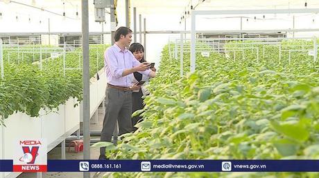 Chuyển đổi số nông nghiệp vẫn còn sơ khai