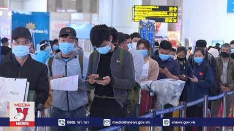 Cần chính sách hỗ trợ cho các hãng hàng không