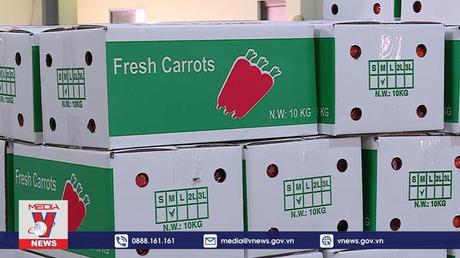 Cơ hội xuất khẩu thực phẩm chế biến