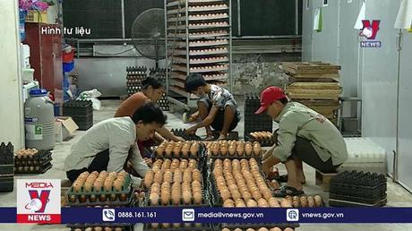 Không tiêu thụ sản phẩm gia cầm không rõ nguồn gốc 