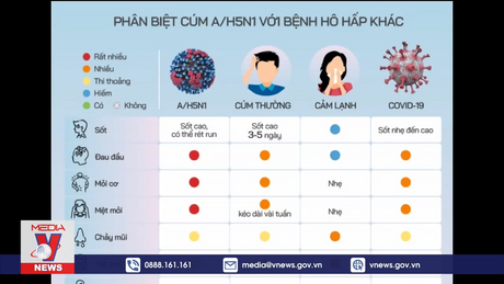 TPHCM ráo riết giám sát, ngăn dịch H5N1