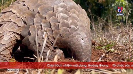 Đường dây nóng 389 ngày 01/3/2023