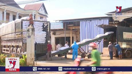 Xuất cấp hơn 33.500 tấn gạo hỗ trợ học sinh 