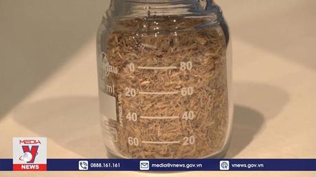 Sản xuất nhựa sinh học từ vi khuẩn