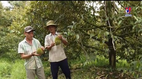 Khoa học và Công nghệ: Ninh Thuận đẩy mạnh áp dụng khoa học, kỹ thuật vào sản xuất