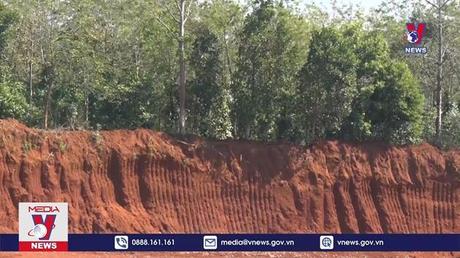 Bản tin thời sự 08h ngày 02/03/2023