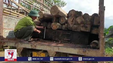 Quảng Ngãi xác định được nhóm đối tượng hành hung kiểm lâm 