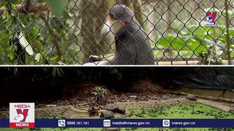 Trải nghiệm tour đặc biệt: Về nhà