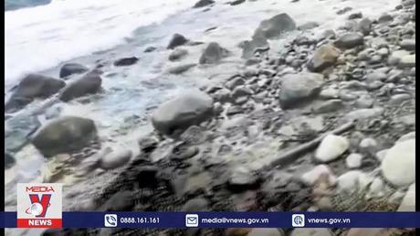 Philippines cấm đánh bắt cá do sự cố tràn dầu