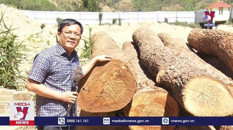 Kon Tum phát hiện điểm tập kết gỗ lậu bên bờ sông 