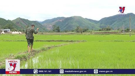 Bản tin thời sự 8h ngày 04/3/2023