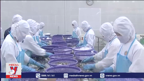 Xuất khẩu tôm năm nay dự báo nhiều khó khăn