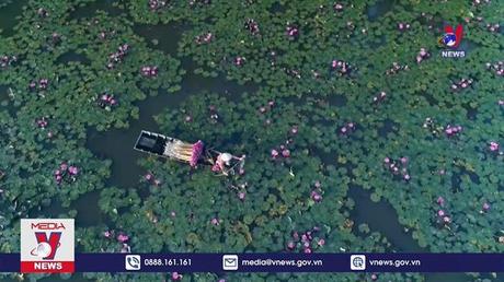 Ban hành Chiến lược Marketing du lịch Việt Nam đến năm 2030