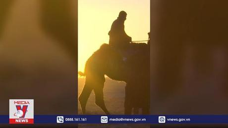 Đặc Sắc Lễ hội Lạc đà Mông Cổ