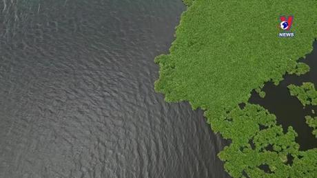 Cuộc sống xanh ngày 05/03/2023