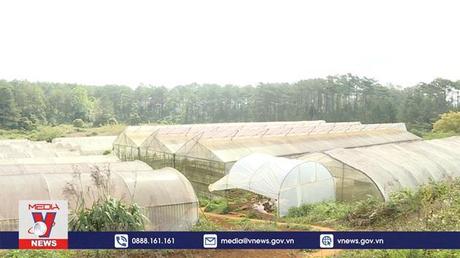 Kon Tum phát triển bền vững từ nông nghiệp công nghệ cao