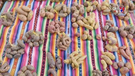 Khoảnh khắc & Sự kiện ngày 05/3/2023