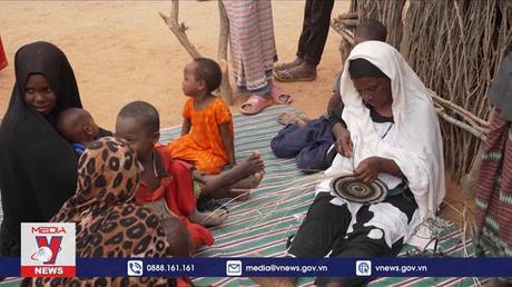 Liên hợp quốc ưu tiên bảo vệ cuộc sống và quyền của phụ nữ