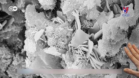 Tạp chí toàn cầu số 684 ngày 06/3/2023 