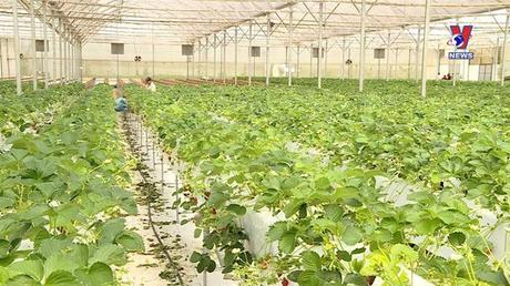 Nhật trình kinh tế ngày 06/03/2023