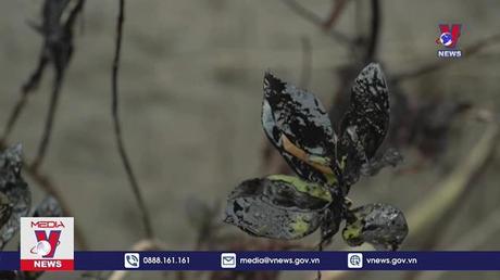 Philippines nỗ lực xác định vị trí tàu chở dầu bị chìm