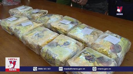 Hà Tĩnh bắt nghi phạm vận chuyển 11 kg ma túy