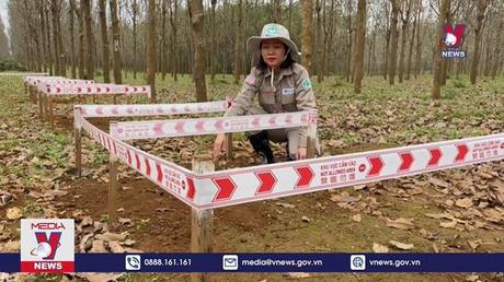 Nữ kiện tướng đi đầu “khâu vá” vết thương chiến tranh